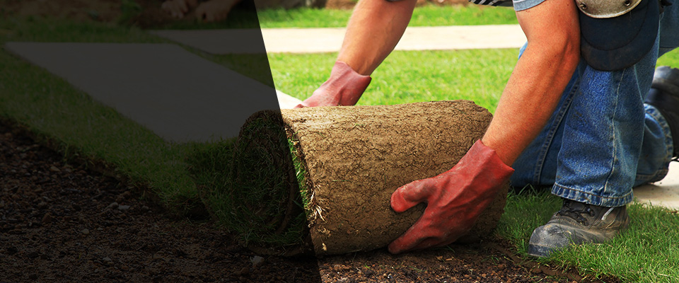 Suplee Landscapers